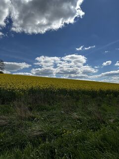 Foto von Frank Thies entlang der Tour
