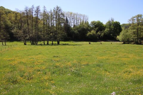 Zdjęcie z Günter Kleutsch wzdłuż trasy