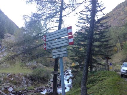 anfängliche Verzweigung