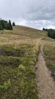 Fotografie de la Andreja de-a lungul turului