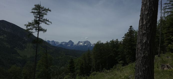 Foto de berggeist82 a lo largo del recorrido