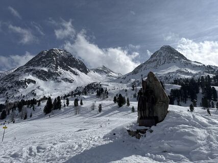 Foto von Grizzli entlang der Tour
