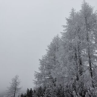 Fotografie z Daniele Da Rio na trase