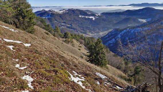 Fotografia z Štefan Jenko na trase