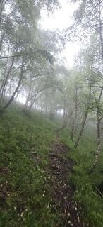 Photo de PAOLO85LAINO le long du parcours