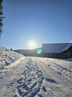 Photo de bikeandcamp le long du parcours