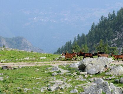 Parco di Conca Cialancia