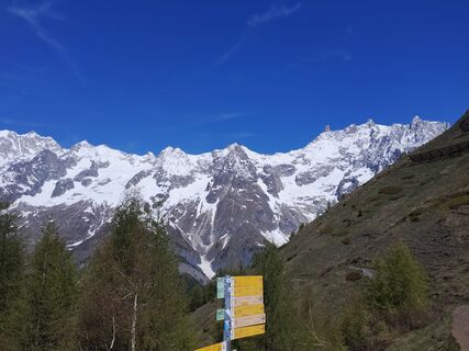 Photo de Tomaszbak Fr le long du parcours