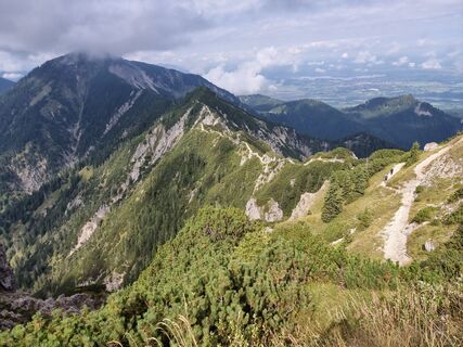 Fotografija s spletne strani Felix na poti