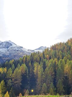 Foto von Pinzger Petra ??‍♀️?? entlang der Tour