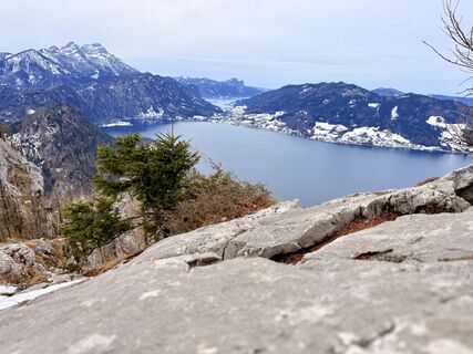 Zdjęcie z Natur_erleben_dg wzdłuż trasy