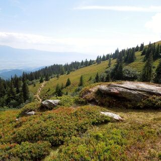 Weg zur Pöllinger Hütte