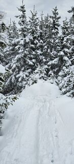 Foto von Markus entlang der Tour