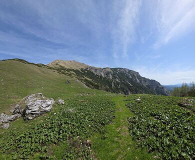 Fotografia z Marko Adrian na trase