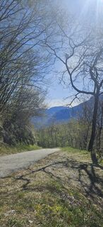 Foto von Johanna M entlang der Tour