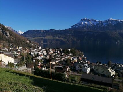 Fotó a luyyy honlapról a túra során