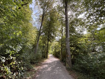 Foto von Pascal Oliver Hauser entlang der Tour