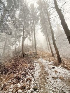 Foto von Robert Schober entlang der Tour