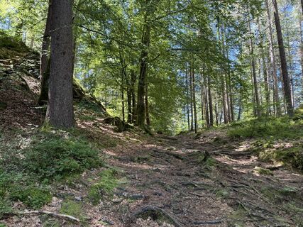 Fotografie z Werner na trase