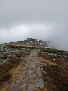 Photo de Daniel Kremiec le long du parcours