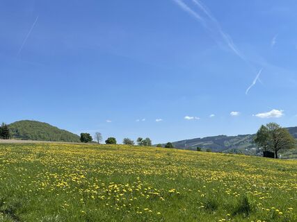 Photo de Olaf Mönig le long du parcours
