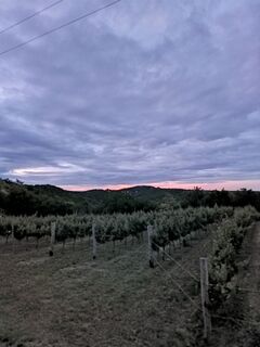 Foto de Balee G a lo largo del recorrido