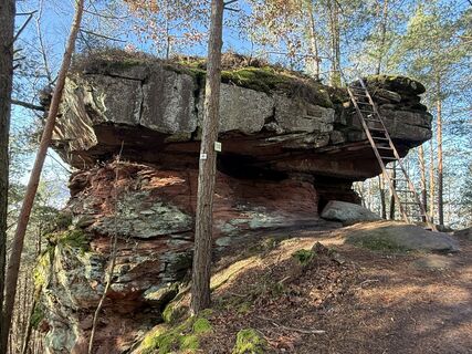 Fotografie z Norbert Herbig na trase