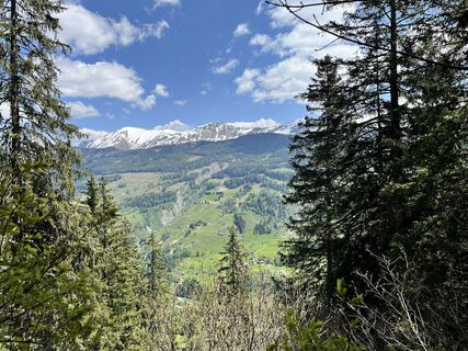 Foto von Kerstin Albrecht entlang der Tour