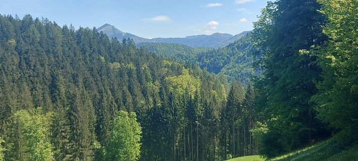 Fotografija s spletne strani Klaus Gruber 3 na poti