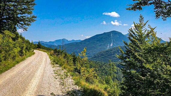 Blick nach dem Viehgatter in Richtung Predigstuhl