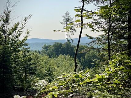 Fotó a Pfalzi honlapról a túra során
