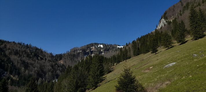 Foto von looli7 entlang der Tour