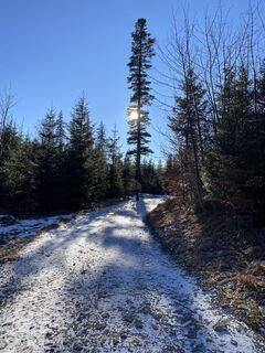 Foto de Sven Krieblin a lo largo del recorrido