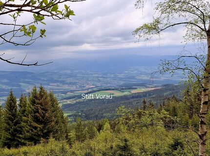 Fotografija s spletne strani zirberl na poti