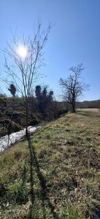 Photo de Davor  Umag City Croatia.?? le long du parcours