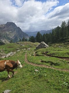 Fotografija s spletne strani Francesca Semeraro na poti