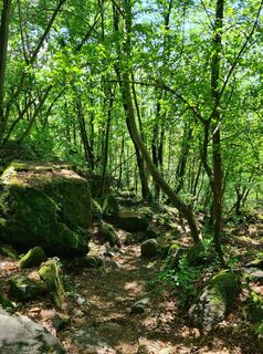 Photo de Heidrun Eberhart le long du parcours