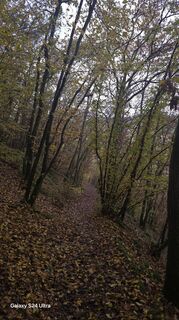 Zdjęcie z Edit Szoboszlay wzdłuż trasy