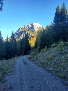 Photo de Chr Lenz le long du parcours