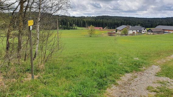 4.1 km Nach Wäldchen links in Wisentrail zum Hof
