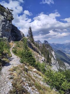 Photo de King Kong le long du parcours