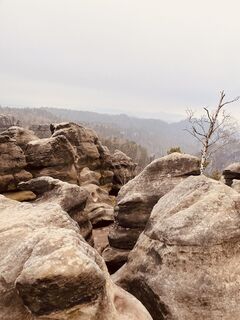Foto von Carl entlang der Tour