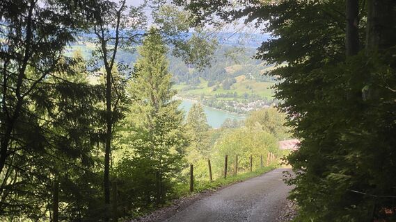 Photo de Niko Zantl le long du parcours