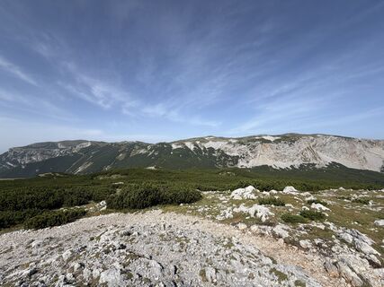 Fotografija s spletne strani Nico ?️ na poti
