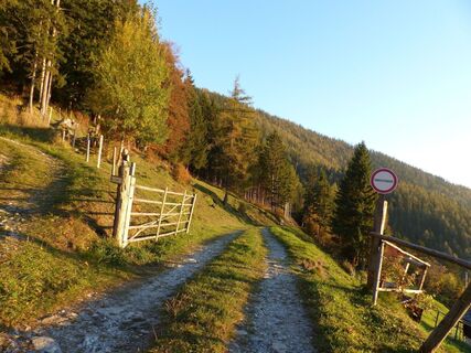 Weg zum Patscha-Sattel_Naturpark Almenland_Oststeiermark