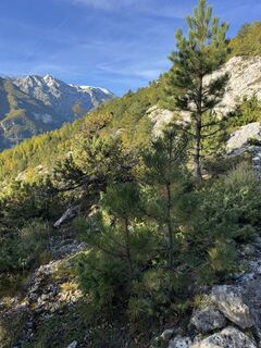 Foto van Jean-Pierre Ghidelli langs de tour