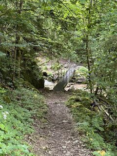 Foto da Babs Holz lungo il tour