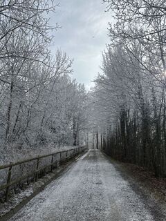 Fotografie de la Zengaffinen Erwin de-a lungul turului