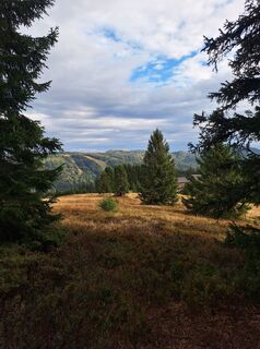 Photo de Katharina le long du parcours