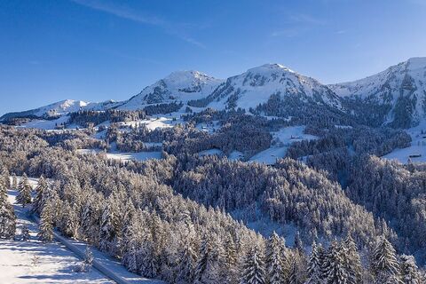 Blick auf die Winterstaude